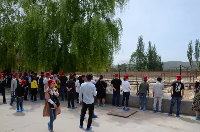 4118云顶集团·(中国)股份有限公司