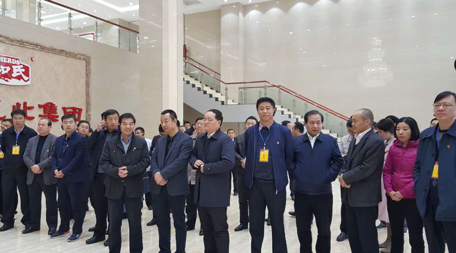 4118云顶集团·(中国)股份有限公司