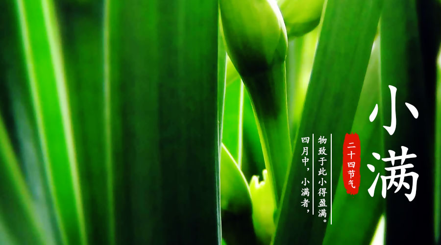 4118云顶集团·(中国)股份有限公司