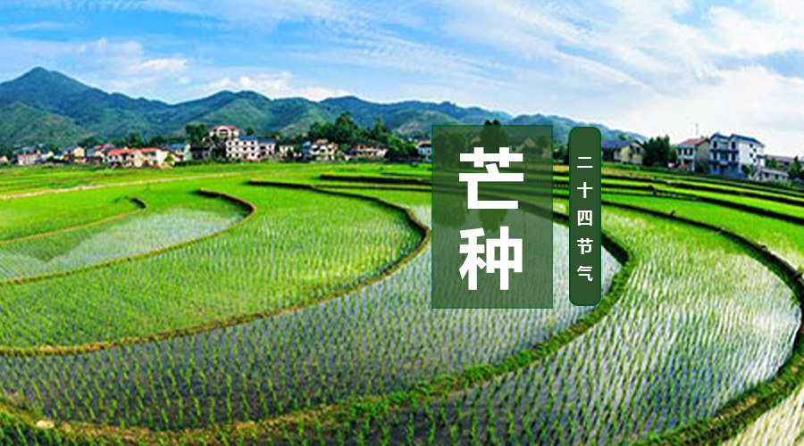 4118云顶集团·(中国)股份有限公司