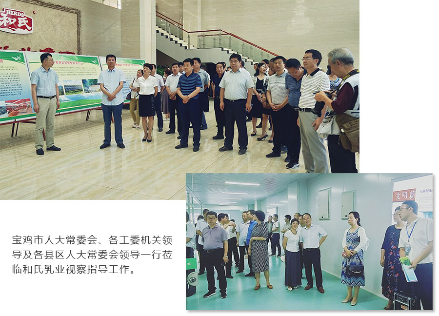 4118云顶集团·(中国)股份有限公司