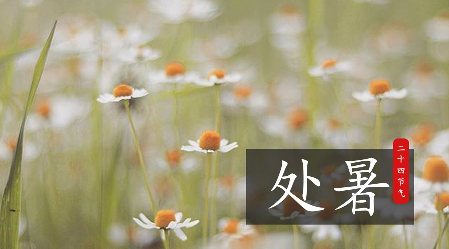 4118云顶集团·(中国)股份有限公司