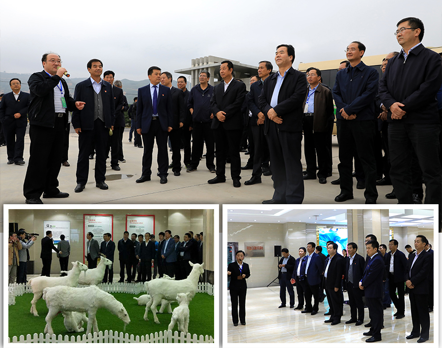 4118云顶集团·(中国)股份有限公司