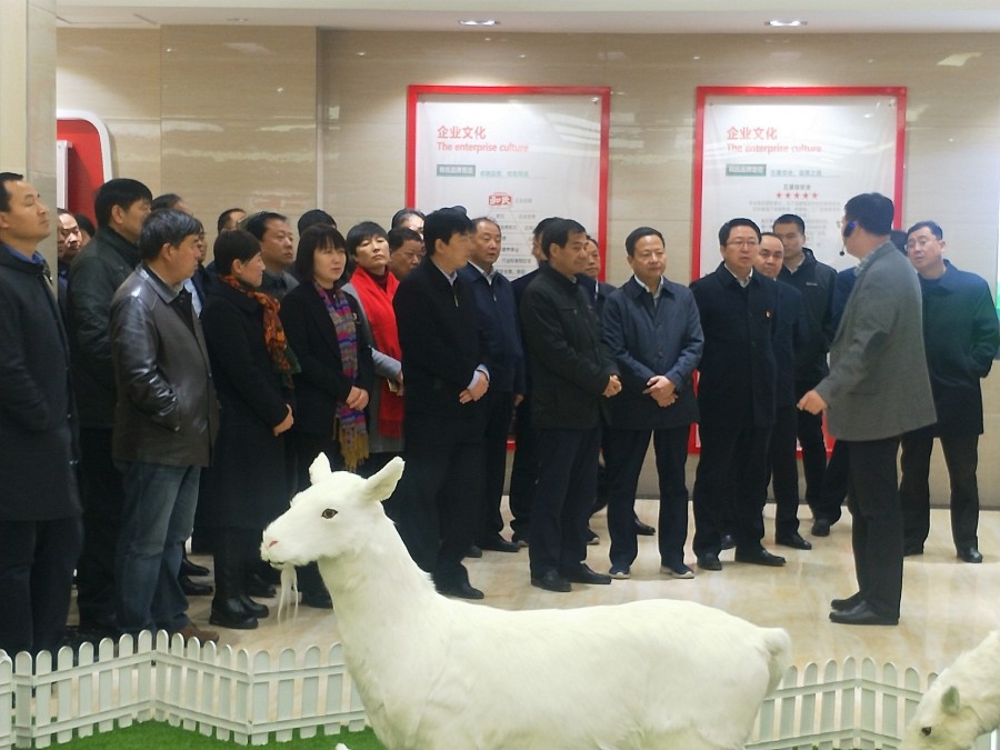 4118云顶集团·(中国)股份有限公司
