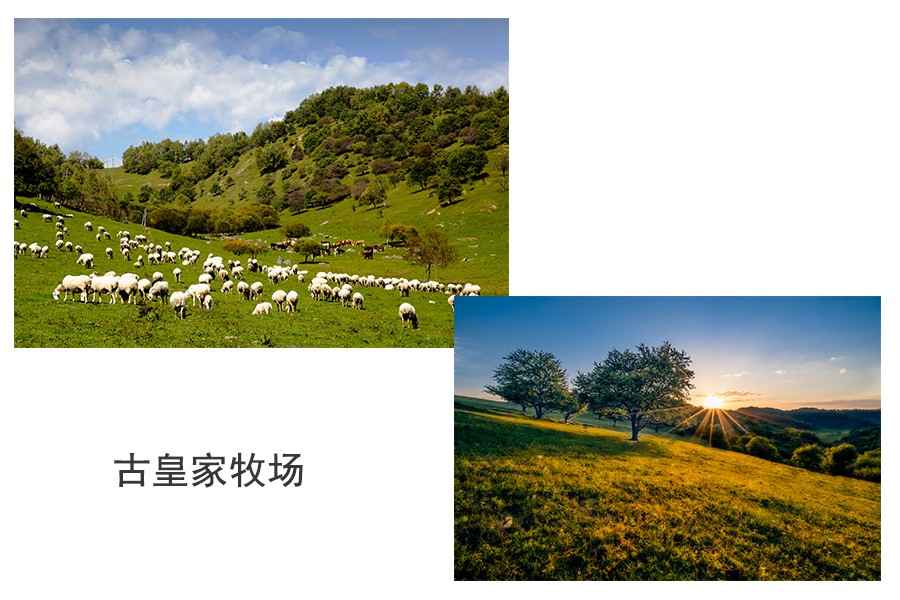 4118云顶集团·(中国)股份有限公司