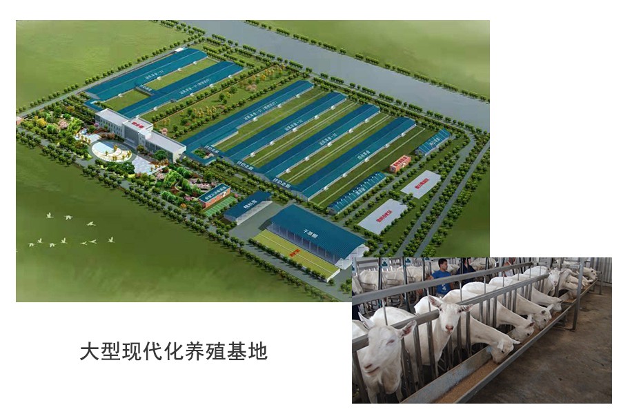 4118云顶集团·(中国)股份有限公司