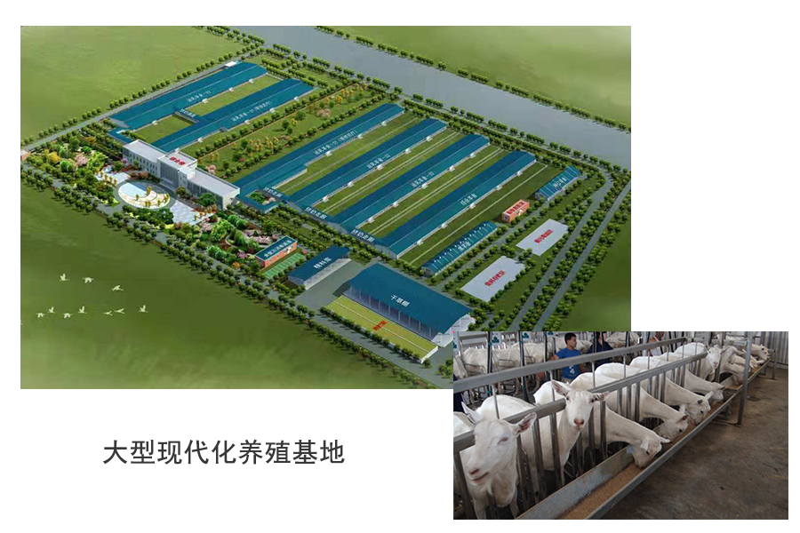 4118云顶集团·(中国)股份有限公司