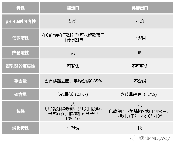 4118云顶集团·(中国)股份有限公司