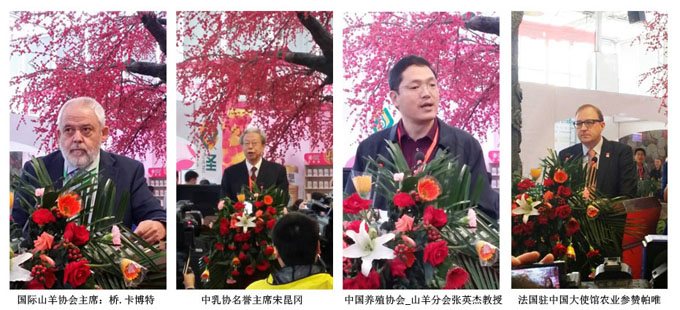 4118云顶集团·(中国)股份有限公司