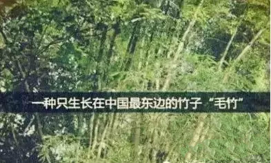 4118云顶集团·(中国)股份有限公司