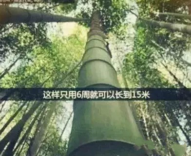 4118云顶集团·(中国)股份有限公司