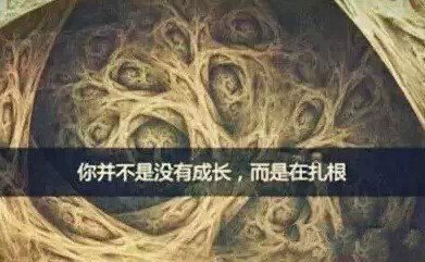 4118云顶集团·(中国)股份有限公司